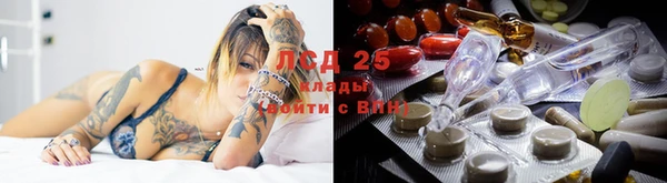 прущие крисы Надым