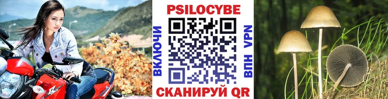 Купить где Татарск Галлюциногенные грибы Psilocybe